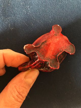 Tartaruga portafortuna