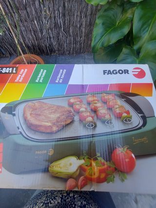 Plancha fagor