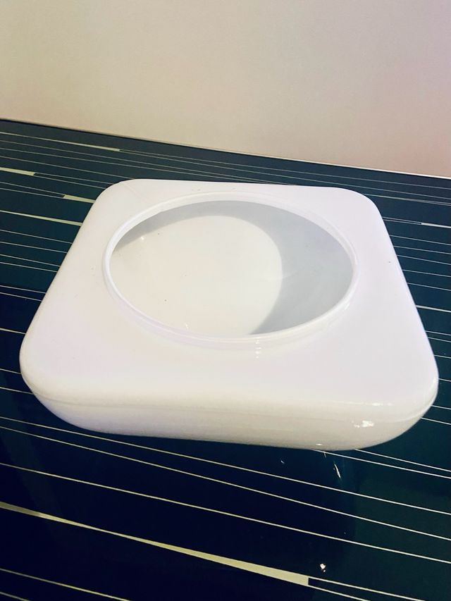 Tulipa opalina vintage