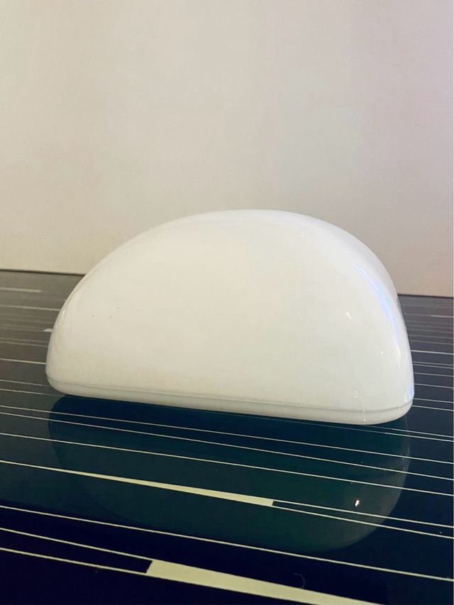 Tulipa opalina vintage