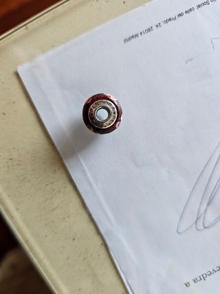 Charm Pandora