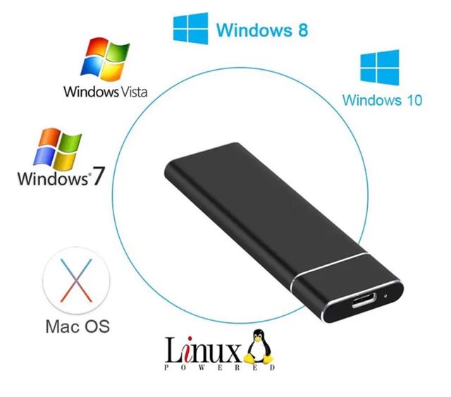 custodia ssd m.2 ngff