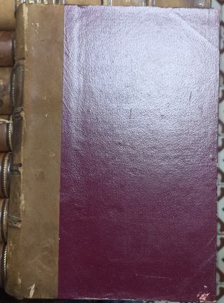 PATOLOGÍA MÉDICA Y TERAPÉUTICA. ZIEMSSEN. (22)