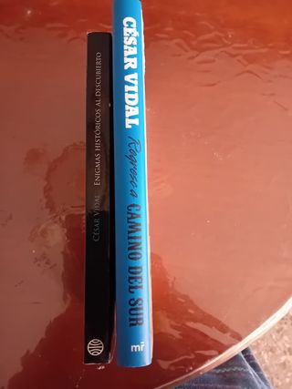 Regreso a Camino del Sur