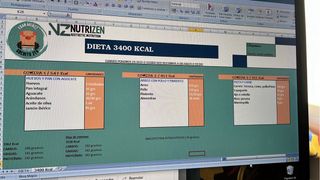Dieta online y entreno