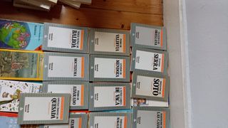 Lote 25 libros Protagonistas de América Biografías
