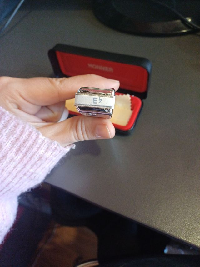 Armonica Hohner Meisterklasse Eb
