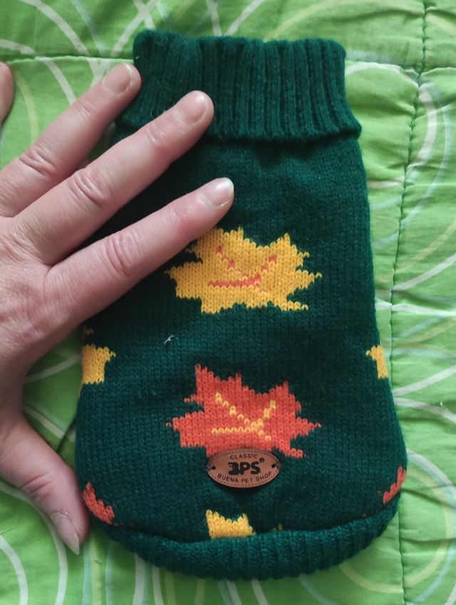 Suéter perro mini