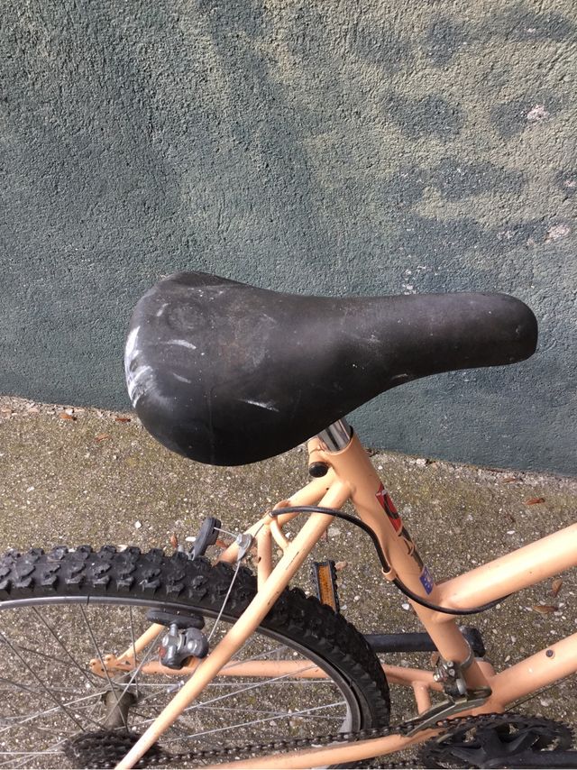 Bicicleta adulto de paseo