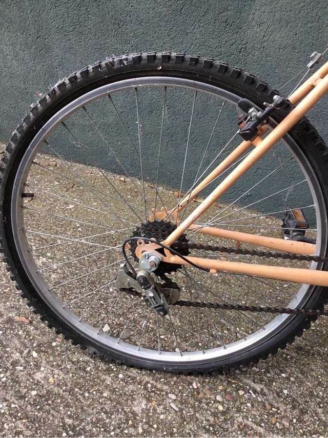 Bicicleta adulto de paseo