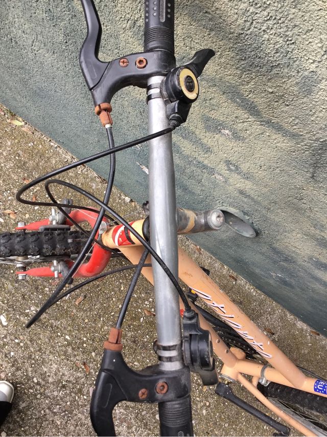 Bicicleta adulto de paseo