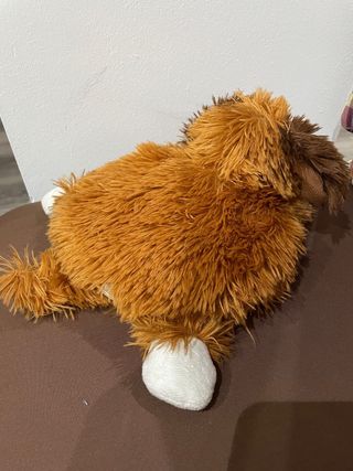 Disquetera Perro