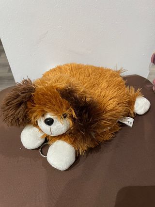 Disquetera Perro