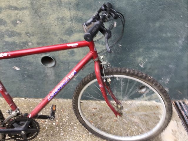 Bicicleta de adulto de paseo