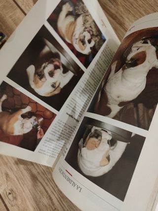 Libro El bulldog inglés