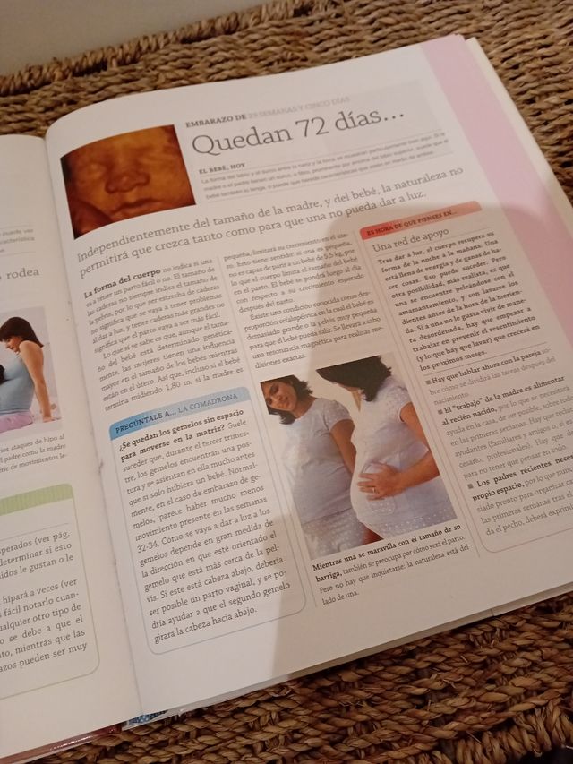 TU EMBARAZO DIA A DIA