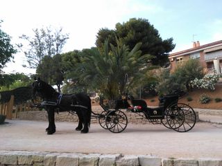 Caballos y carruajes alquiler