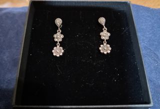 Pendientes plata y marquesinas. 