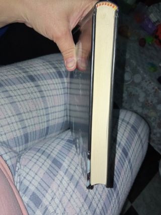 el hotel de los horrores. La confesión d