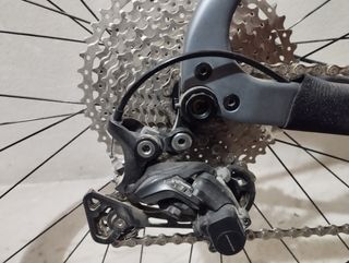 massi team 29 carbono