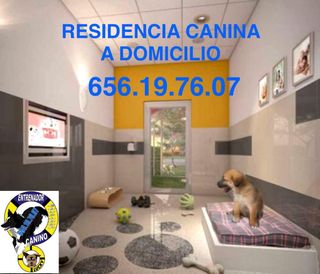RESIDENCIA CANINA A DOMICILIO