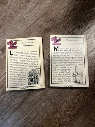 2 libros Anaya coleccion juvenil “Tus libros” 1987