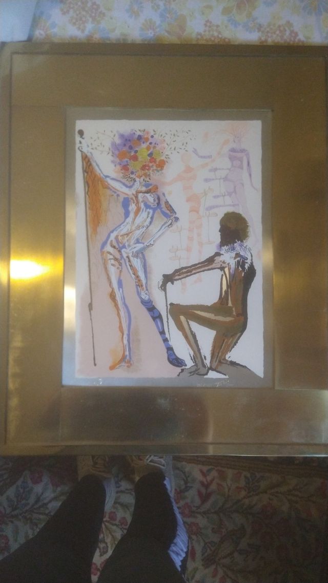 Quadro Dalì da collezionismo