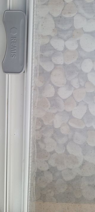 Claraboya Remis ( 700x500)