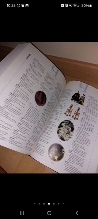 DICCIONARI EUROPEU - CATALÀ