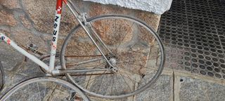 Bicicleta Zeus Victoria