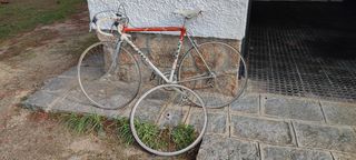 Bicicleta Zeus Victoria