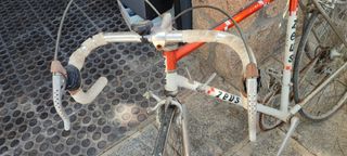 Bicicleta Zeus Victoria