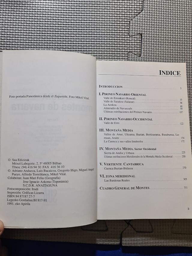 Guia montes de navarra 1991