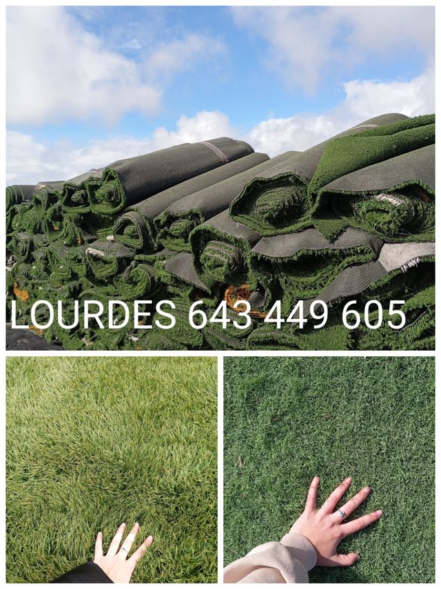 ‼️🌱jardín impecable con césped