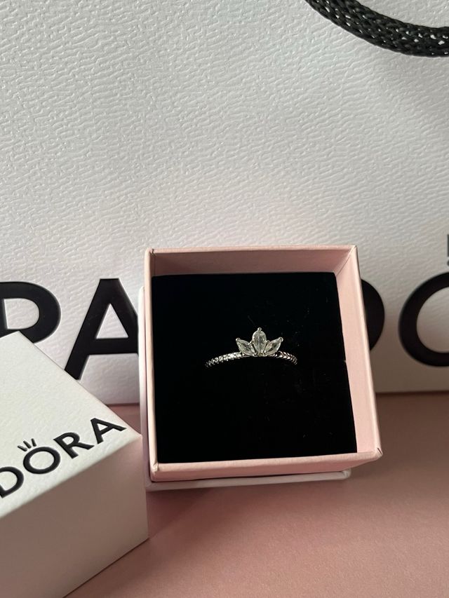 Anillo Herbario Brillante Pandora