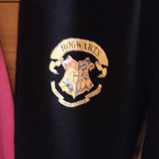 Chándal Harry Potter