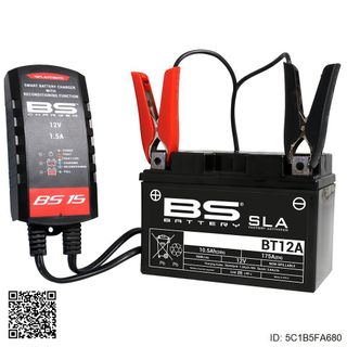 Cargador recuperador reparador de baterí 5C1B