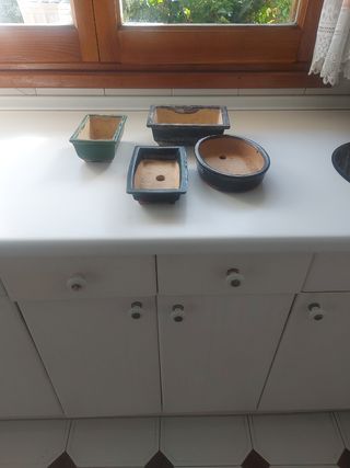 Macetas para bonsai
