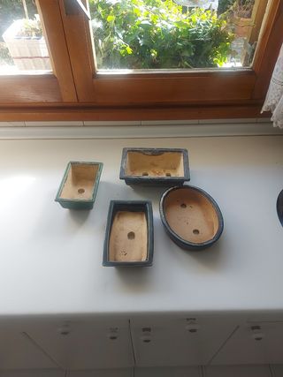 Macetas para bonsai