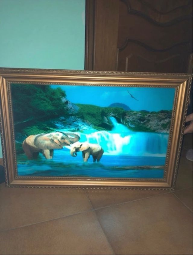 quadro natura lunimoso