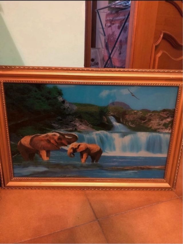 quadro natura lunimoso