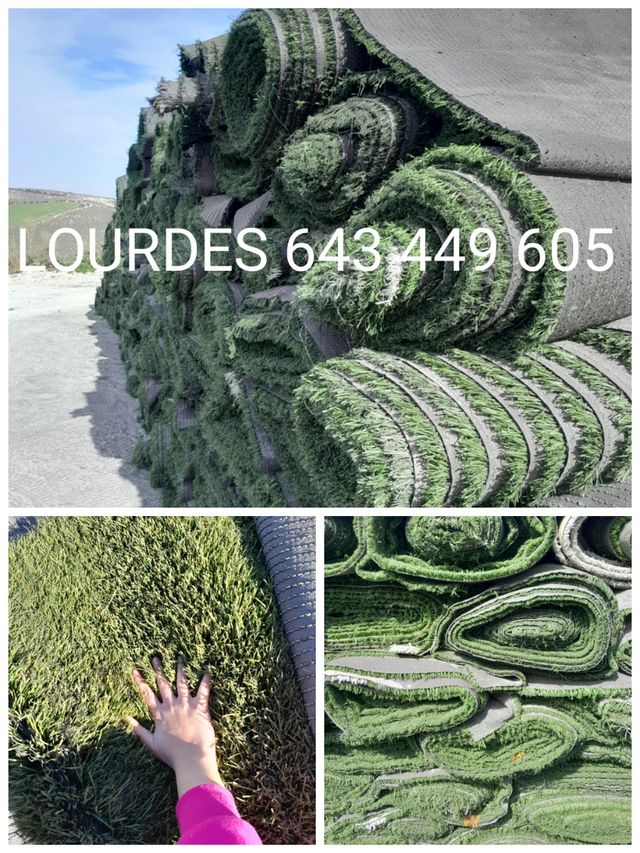 💯🏡 césped ideal con nuestros modelos