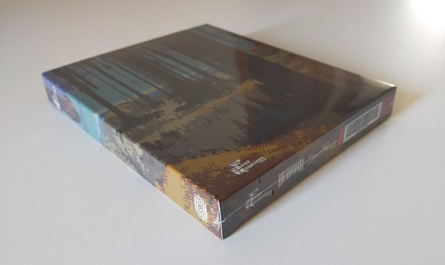 Loop Hero switch + enciclopedia