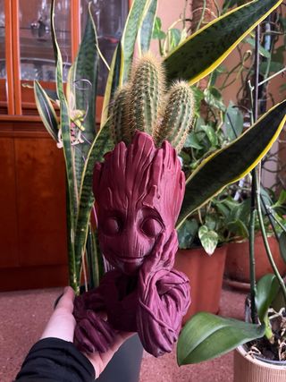 Macetero Groot Guardianes de la galaxia