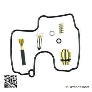 Kit de reparación de carburador TOURMAX 0795