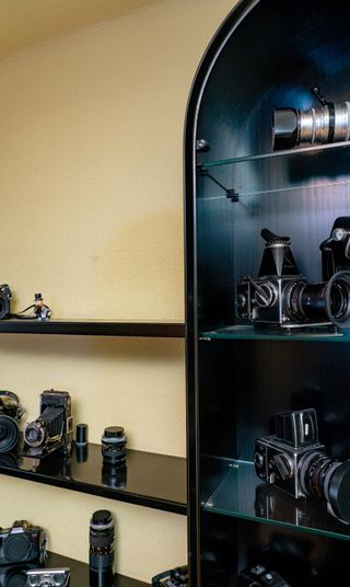 Vitrina y estantería madera