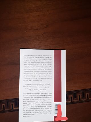 Libro Nick Hornby febbre al 90°