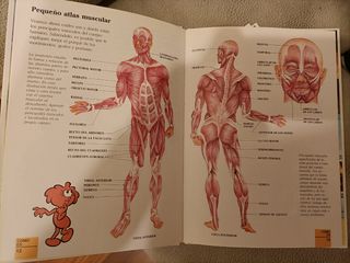 Colección El Cuerpo Humano