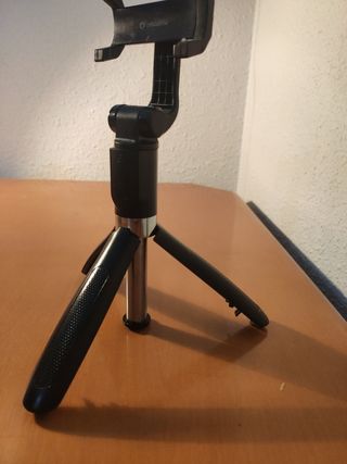 PALO SELFIE (CON TRIPODE)
