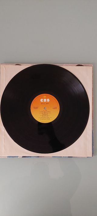 Vinile LP 33 giri